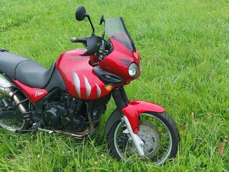 2002 Triumph Tiger 955i, пурпурный, 375000 рублей, вид 1