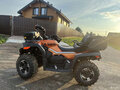 2020 CFMoto CFORCE 600 EPS, красный, 780000 рублей - вид 4