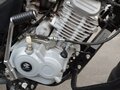 2024 Bajaj Boxer BM 125, чёрный, 125000 рублей - вид 7