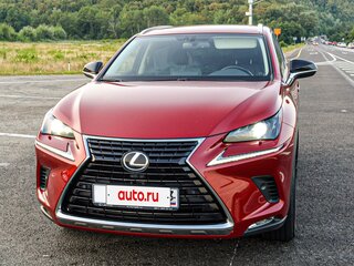 2019 Lexus NX 200 I Рестайлинг, красный, 3500000 рублей, вид 1