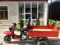1977 Avantis Classic 200, красный, 60000 рублей - вид 6