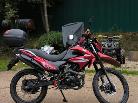 2019 ЗиД YX250GY-C5C, красный, 100000 рублей, вид 2