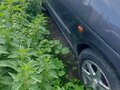 1997 Renault Scenic I, голубой, 100000 рублей - вид 2