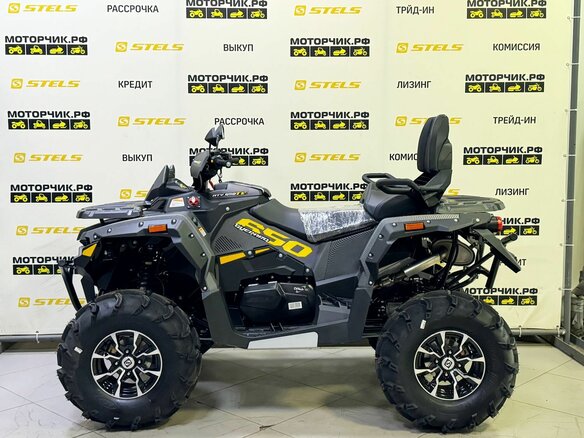 2026 Stels ATV-650 Guepard Trophy, чёрный - вид 1