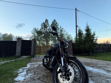 2018 Harley-Davidson FXDR 114, чёрный, 2200000 рублей, вид 3