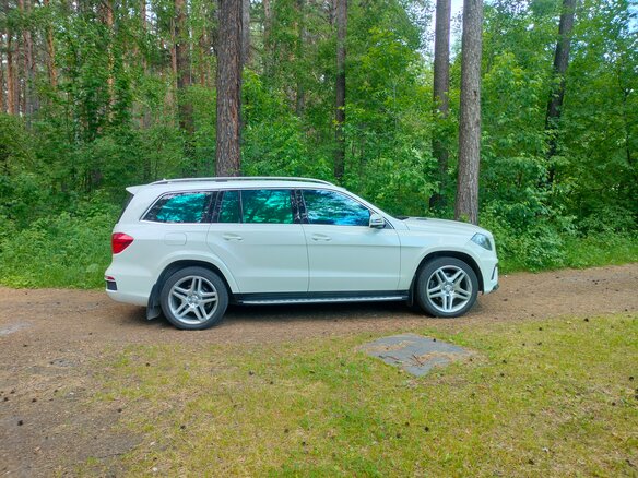 2013 Mercedes-Benz GL-Класс 350 II (X166), белый, 2750000 рублей - вид 15
