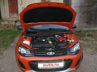 2015 Lada (ВАЗ) Kalina Cross II, оранжевый, 760000 рублей, вид 3