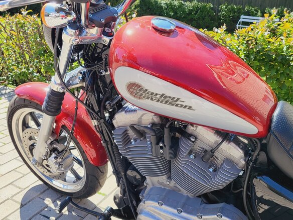 2019 Harley-Davidson Sportster 883, красный, 830000 рублей - вид 7