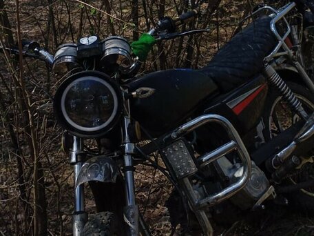 2010 Racer Alpha, чёрный, 50000 рублей, вид 4