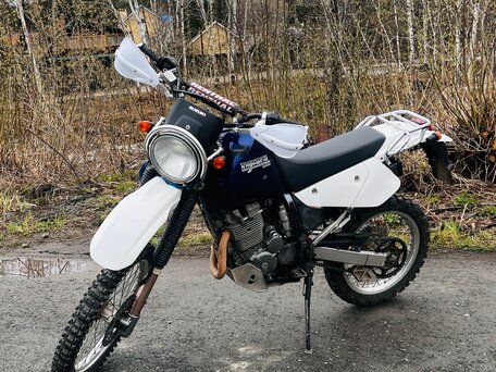 2006 Suzuki Djebel 250, синий, 280000 рублей, вид 1