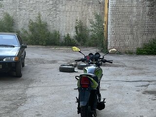 2019 Racer Tiger, зелёный, 80000 рублей, вид 2