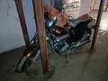 1997 Honda X4, коричневый, 450000 рублей - вид 6