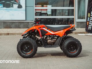 2025 CFMoto CFORCE 110, красный, 269910 рублей, вид 4