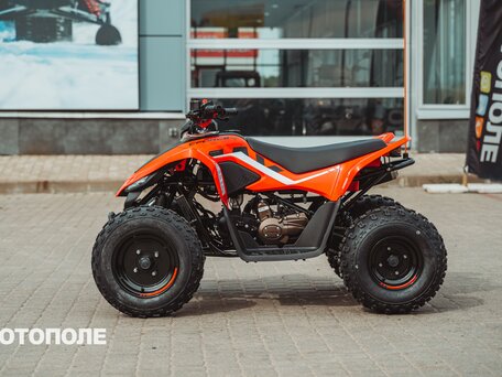 2025 CFMoto CFORCE 110, красный, 270000 рублей, вид 4