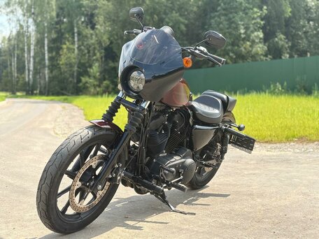 2019 Harley-Davidson Sportster 1200, коричневый, 930000 рублей, вид 3