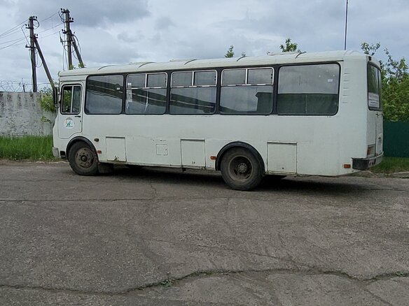 2012 ПАЗ 4234, белый, 600000 рублей - вид 10