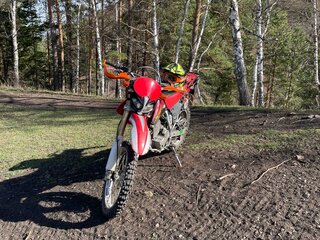 2007 Honda XR 250, красный, 285000 рублей, вид 2