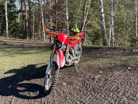 2007 Honda XR 250, красный, 285000 рублей, вид 2
