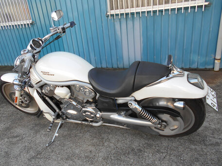 2003 Harley-Davidson V-Rod, белый, 800000 рублей, вид 2