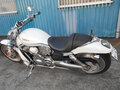 2003 Harley-Davidson V-Rod, белый, 800000 рублей - вид 1