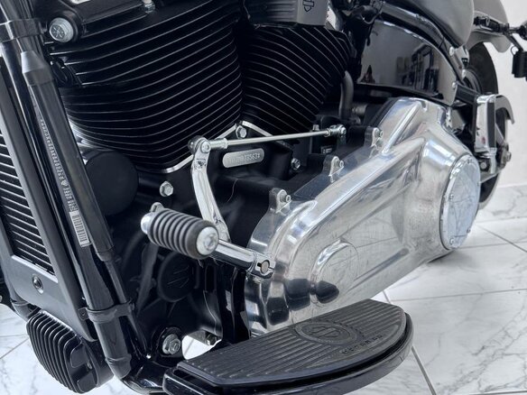 2021 Harley-Davidson Softail Slim, коричневый, 1699805 рублей - вид 8