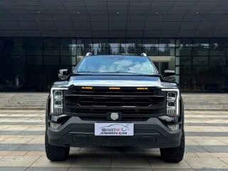 2024 Foton Mars 7, чёрный, 3500010 рублей, вид 2