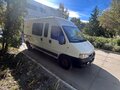 2009 Fiat Professional Ducato, белый, 750000 рублей
