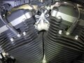 2014 Harley-Davidson Sportster 883, чёрный, 790000 рублей - вид 5