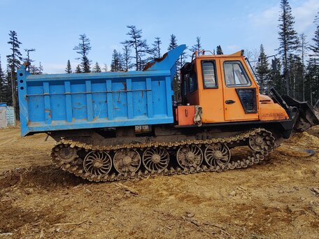 2020 Алтайлесмаш ТЛ-5АЛМ, жёлтый, 3500000 рублей, вид 1