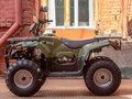 2024 Irbis ATV 200U, зелёный, 259450 рублей - вид 1