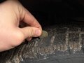 2014 ГАЗ ГАЗель (3302), белый, 1250000 рублей - вид 8