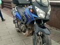2005 Suzuki V-Strom DL 650, синий - вид 1