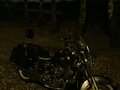 2005 Yamaha XVS650 Drag Star, серый, 650000 рублей - вид 1