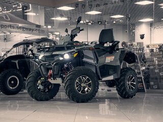 2025 Stels ATV-800 Guepard Trophy, серый, 1170000 рублей, вид 1