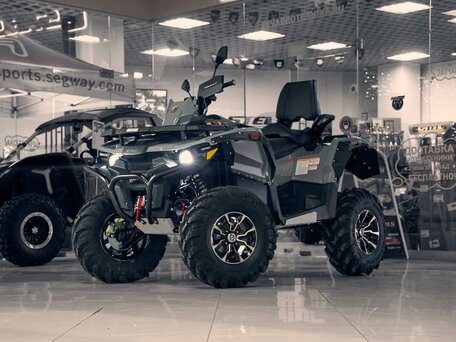 2025 Stels ATV-800 Guepard Trophy, серый, 1170000 рублей, вид 1