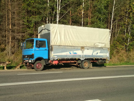 1983 Mercedes-Benz 809, синий, 200000 рублей, вид 5