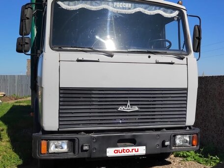 2011 МАЗ 4370, серый, 1100000 рублей, вид 2