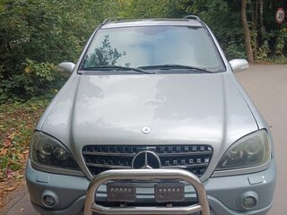 2002 Mercedes-Benz M-Класс 400 I (W163) Рестайлинг, серый, 600000 рублей, вид 1