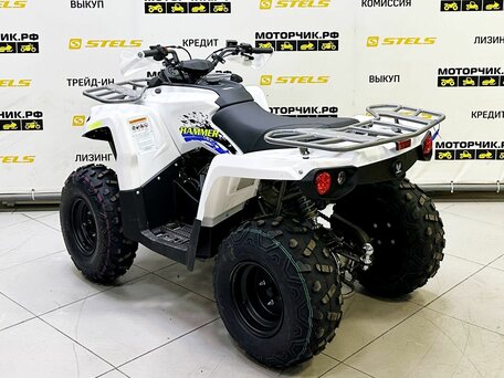 2025 Bison ATV200, белый, 219000 рублей, вид 3