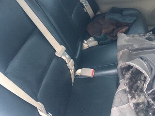 2001 Toyota Premio I (T24), белый, 320000 рублей, вид 5