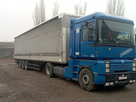 2000 Renault Magnum, синий, 3500000 рублей, вид 2