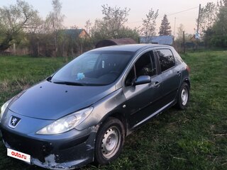 2007 Peugeot 307 I Рестайлинг, серый, 250000 рублей, вид 1