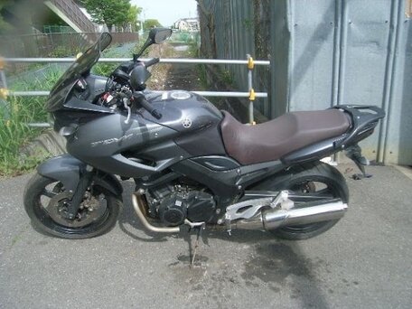 2010 Yamaha TDM900, серый, 500000 рублей, вид 1