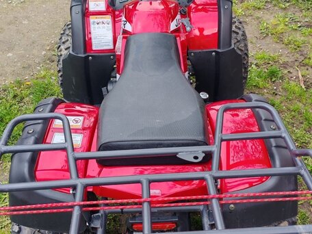 2023 Motoland ATV 250 Adventure, красный, 160000 рублей, вид 5