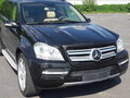 2008 Mercedes-Benz GL-Класс 500 I (X164), коричневый, 1690000 рублей - вид 2