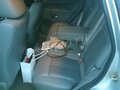 2006 Jeep Grand Cherokee III (WK), серебристый - вид 5