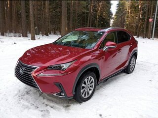 2019 Lexus NX 300 I Рестайлинг, красный, 3800000 рублей, вид 1