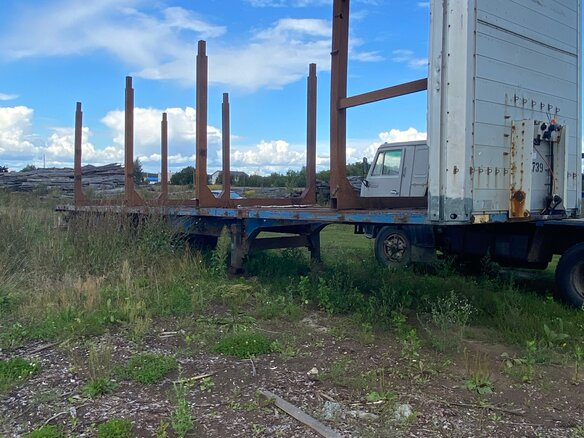2002 Schmitz Cargobull S01, белый, 400000 рублей