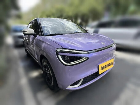 Dongfeng Nammi 01
