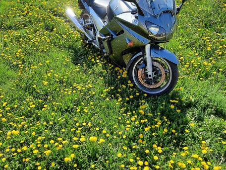 2005 Yamaha FJR1300, зелёный, 460000 рублей, вид 1